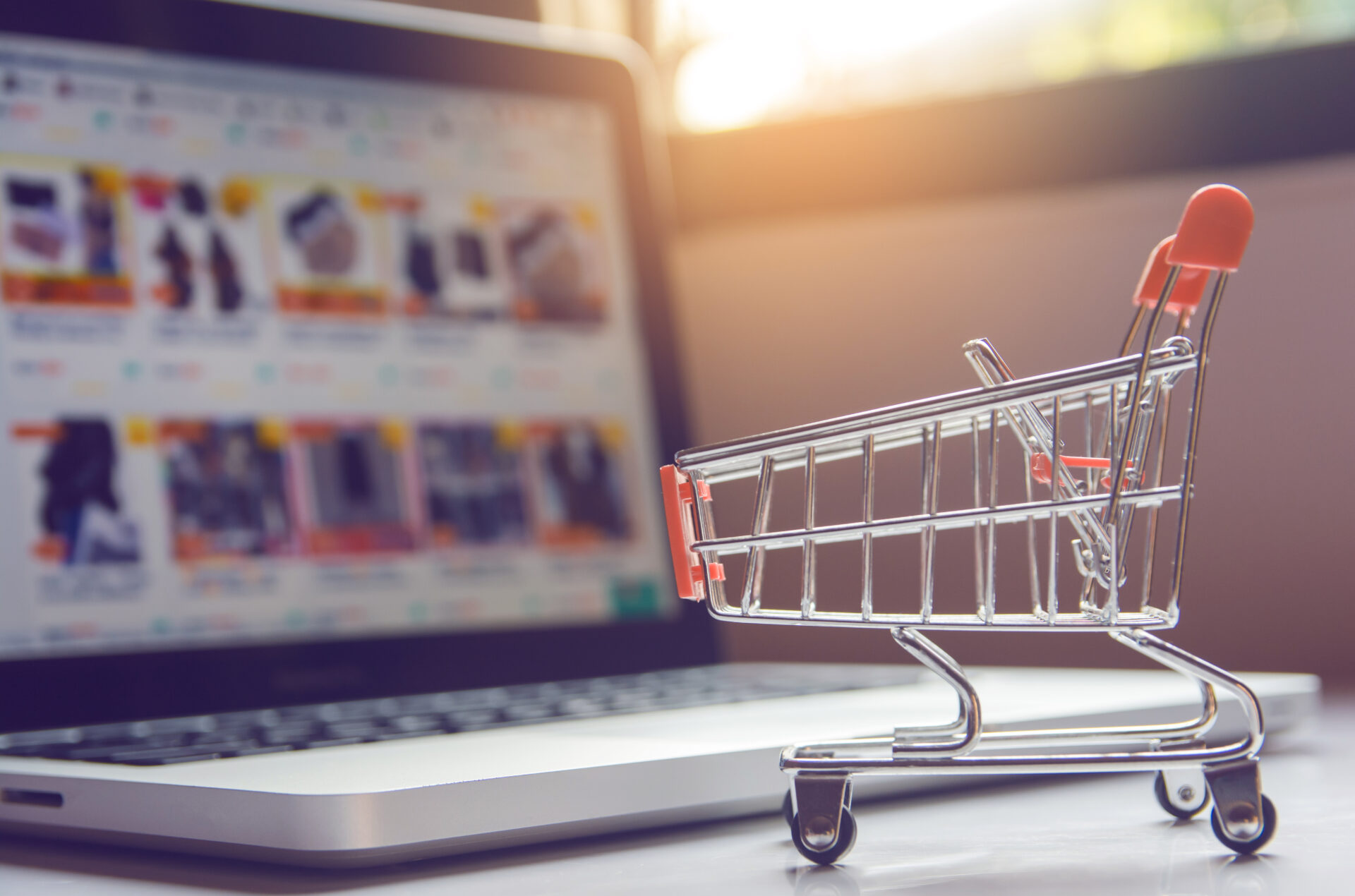 カートシステムとは?選び方や種類、おすすめのサービスを紹介